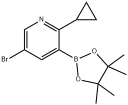 5-Bromo-2-(cyclopropyl)pyridine-3-boronic acid pinacol ester Struktur