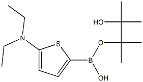 5-(Diethylamino)thiophene-2-boronic acid pinacol ester Struktur