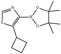 5-(Cyclobutyl)thiazole-4-boronic acid pinacol ester Struktur