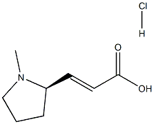 (R,E)-3-(1-methylpyrrolidin-2-yl)acrylic acid hydrochloride Struktur