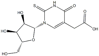 5-Carboxymethyl-2-thiouridine Struktur