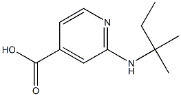 2-[(2-methylbutan-2-yl)amino]pyridine-4-carboxylic acid Struktur