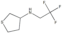 N-(2,2,2-trifluoroethyl)tetrahydrothiophen-3-amine Struktur