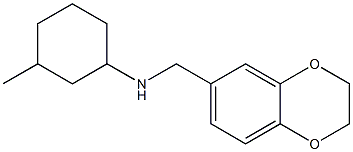 N-(2,3-dihydro-1,4-benzodioxin-6-ylmethyl)-3-methylcyclohexan-1-amine Struktur