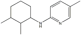 N-(2,3-dimethylcyclohexyl)-5-methylpyridin-2-amine Struktur