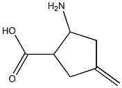 2-amino-4-methylenecyclopentane-1-carboxylic acid Struktur