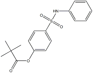 4-pivaloyloxy-N-phenylbenzenesulfonamide Struktur