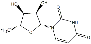 uridylyl removing enzyme Struktur