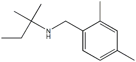 [(2,4-dimethylphenyl)methyl](2-methylbutan-2-yl)amine Struktur