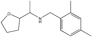 [(2,4-dimethylphenyl)methyl][1-(oxolan-2-yl)ethyl]amine Struktur