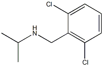 [(2,6-dichlorophenyl)methyl](propan-2-yl)amine Struktur