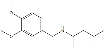 [(3,4-dimethoxyphenyl)methyl](4-methylpentan-2-yl)amine Struktur