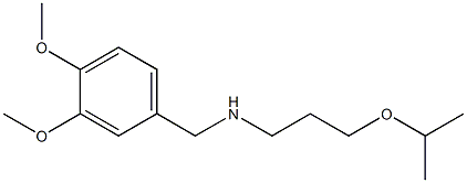 [(3,4-dimethoxyphenyl)methyl][3-(propan-2-yloxy)propyl]amine Struktur