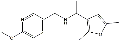 [1-(2,5-dimethylfuran-3-yl)ethyl][(6-methoxypyridin-3-yl)methyl]amine Struktur