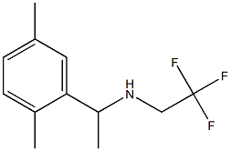 [1-(2,5-dimethylphenyl)ethyl](2,2,2-trifluoroethyl)amine Struktur