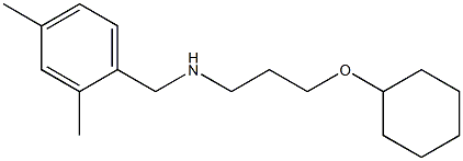 [3-(cyclohexyloxy)propyl][(2,4-dimethylphenyl)methyl]amine Struktur