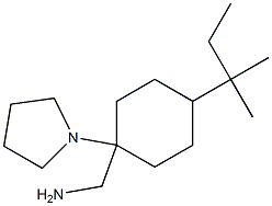 [4-(2-methylbutan-2-yl)-1-(pyrrolidin-1-yl)cyclohexyl]methanamine Struktur