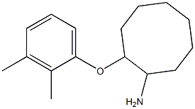 2-(2,3-dimethylphenoxy)cyclooctan-1-amine Struktur