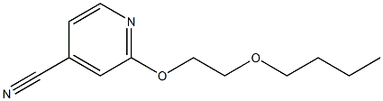 2-(2-butoxyethoxy)pyridine-4-carbonitrile Struktur