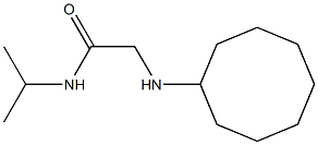 2-(cyclooctylamino)-N-(propan-2-yl)acetamide Struktur