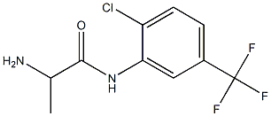 2-amino-N-[2-chloro-5-(trifluoromethyl)phenyl]propanamide Struktur