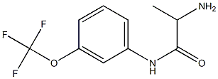 2-amino-N-[3-(trifluoromethoxy)phenyl]propanamide Struktur