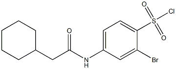 2-bromo-4-(2-cyclohexylacetamido)benzene-1-sulfonyl chloride Struktur