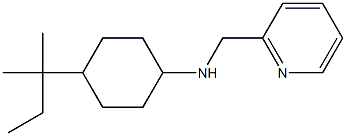 4-(2-methylbutan-2-yl)-N-(pyridin-2-ylmethyl)cyclohexan-1-amine Struktur