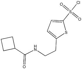 5-{2-[(cyclobutylcarbonyl)amino]ethyl}thiophene-2-sulfonyl chloride Struktur