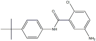 5-amino-N-(4-tert-butylphenyl)-2-chlorobenzamide Struktur