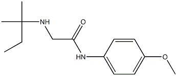 N-(4-methoxyphenyl)-2-[(2-methylbutan-2-yl)amino]acetamide Struktur