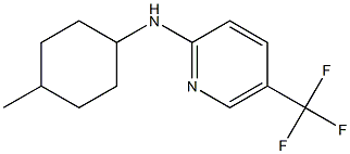 N-(4-methylcyclohexyl)-5-(trifluoromethyl)pyridin-2-amine Struktur