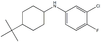 N-(4-tert-butylcyclohexyl)-3-chloro-4-fluoroaniline Struktur