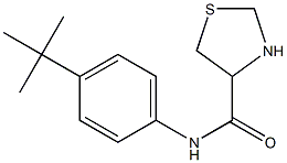 N-(4-tert-butylphenyl)-1,3-thiazolidine-4-carboxamide Struktur