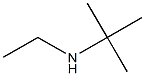 N-(tert-butyl)-N-ethylamine Struktur