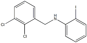 N-[(2,3-dichlorophenyl)methyl]-2-iodoaniline Struktur