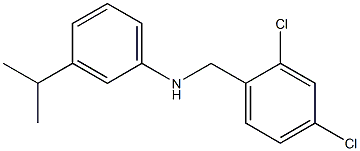 N-[(2,4-dichlorophenyl)methyl]-3-(propan-2-yl)aniline Struktur