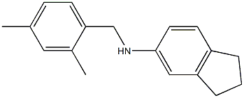 N-[(2,4-dimethylphenyl)methyl]-2,3-dihydro-1H-inden-5-amine Struktur