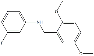 N-[(2,5-dimethoxyphenyl)methyl]-3-iodoaniline Struktur