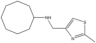 N-[(2-methyl-1,3-thiazol-4-yl)methyl]cyclooctanamine Struktur