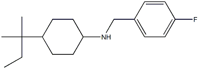 N-[(4-fluorophenyl)methyl]-4-(2-methylbutan-2-yl)cyclohexan-1-amine Struktur