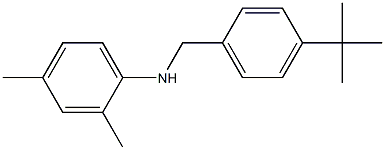 N-[(4-tert-butylphenyl)methyl]-2,4-dimethylaniline Struktur