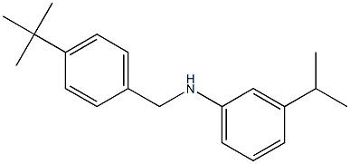 N-[(4-tert-butylphenyl)methyl]-3-(propan-2-yl)aniline Struktur