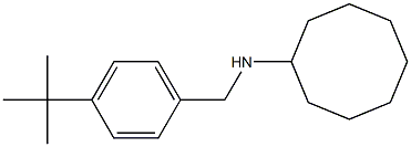 N-[(4-tert-butylphenyl)methyl]cyclooctanamine Struktur