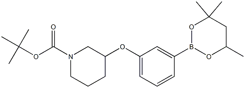 tert-Butyl 3-[3-(4,4,6-trimethyl-1,3,2-dioxaborinan-2-yl)phenoxy]piperidine-1-carboxylate Struktur