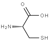 cysteine string protein Struktur