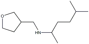 (5-methylhexan-2-yl)(oxolan-3-ylmethyl)amine Struktur