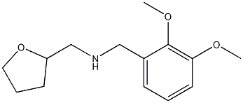 [(2,3-dimethoxyphenyl)methyl](oxolan-2-ylmethyl)amine Struktur