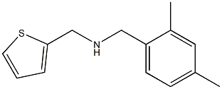 [(2,4-dimethylphenyl)methyl](thiophen-2-ylmethyl)amine Struktur