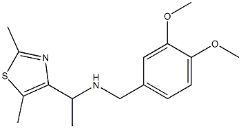 [(3,4-dimethoxyphenyl)methyl][1-(2,5-dimethyl-1,3-thiazol-4-yl)ethyl]amine Struktur